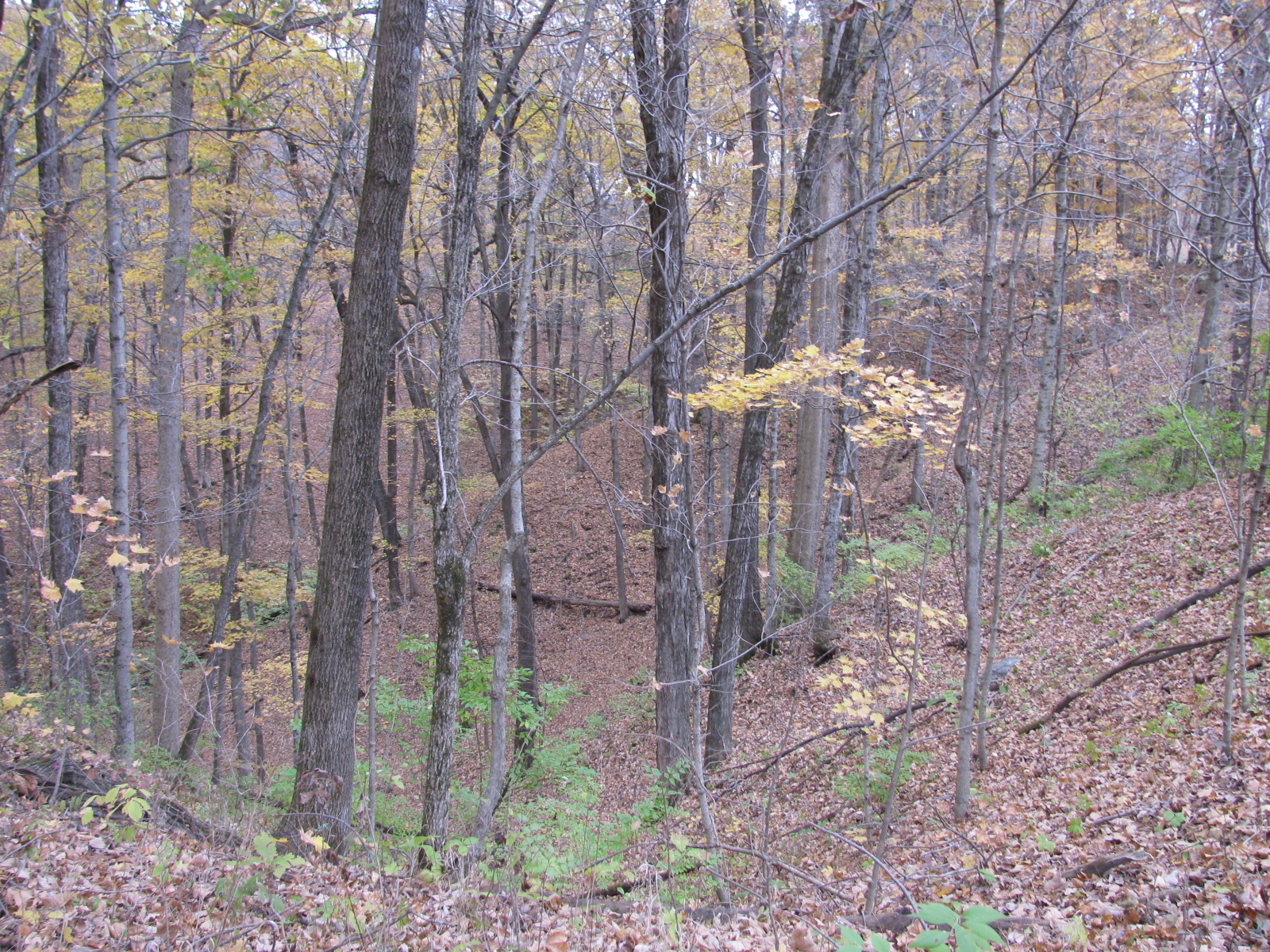 Fox Ridge State Park