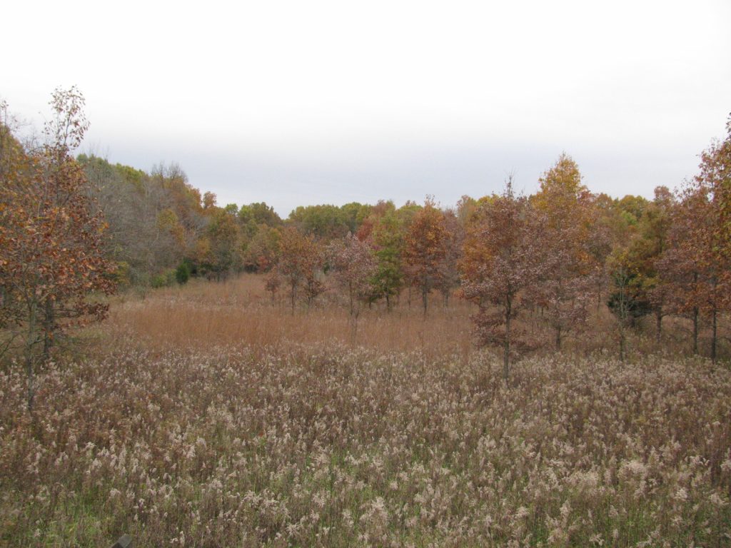 Fox Ridge State Park