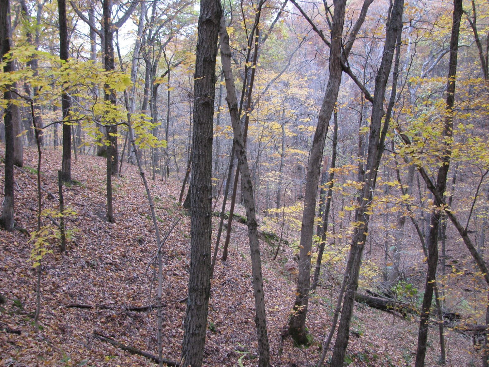 Fox Ridge State Park