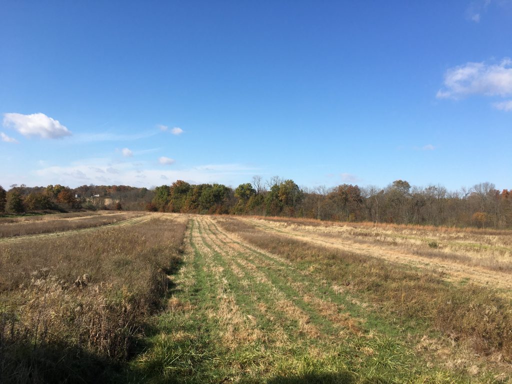 Fox Ridge State Park