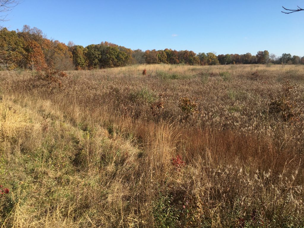 Fox Ridge State Park