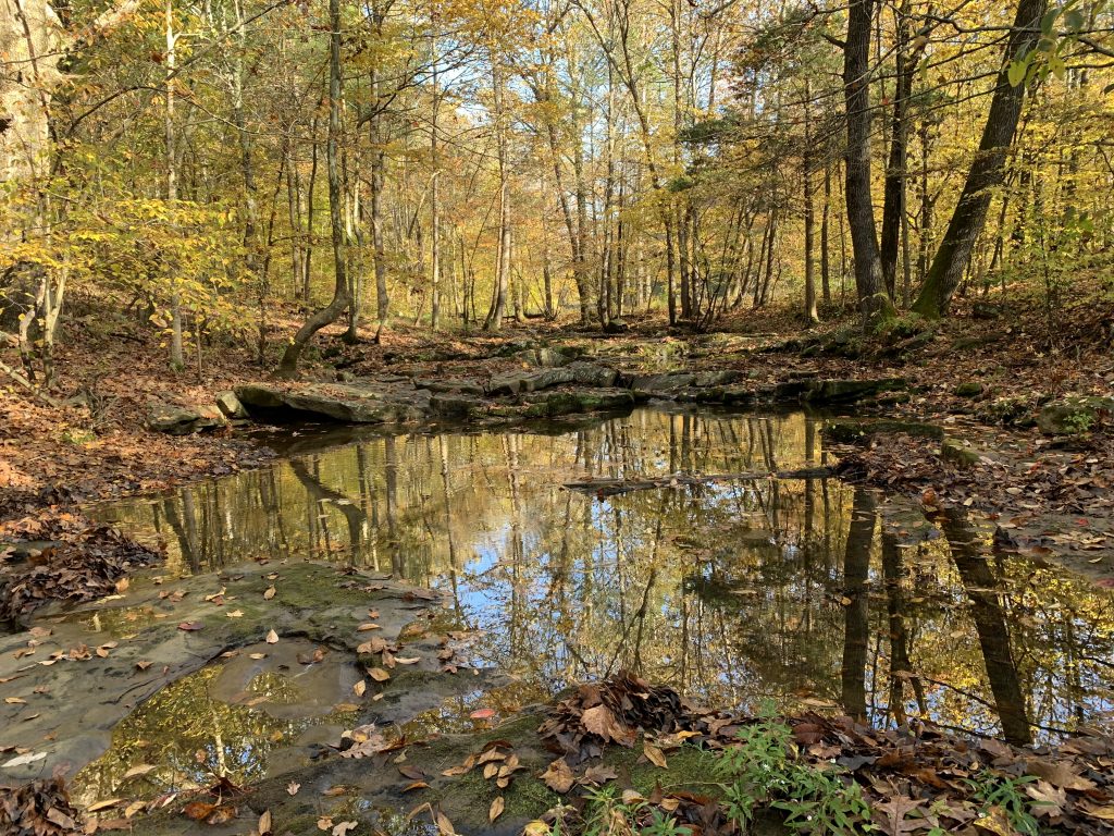 Ferne Clyffe State Park